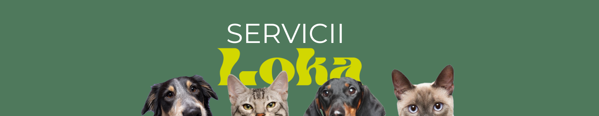 Servicii LOKA PET CARE
