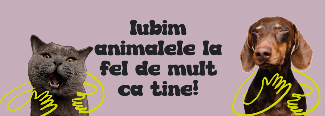 Găsește îngrijirea perfectă pentru animalul tău